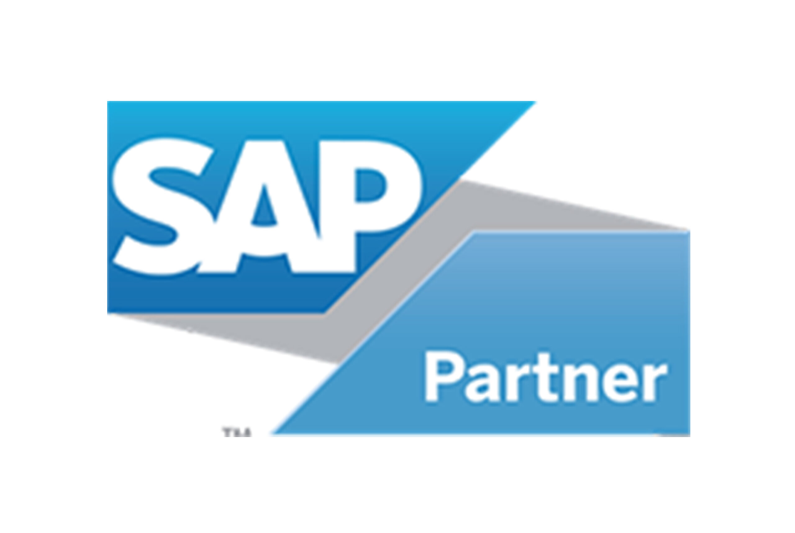 SAP Partner